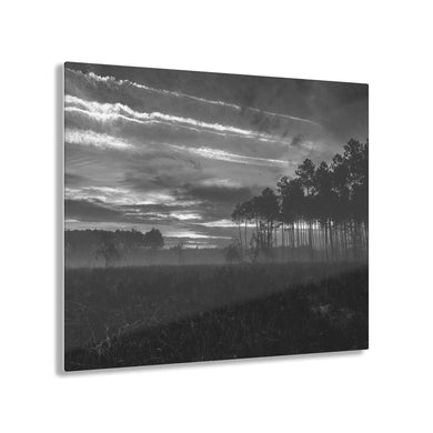 Morning Mist Black & White Acrylic Prints
