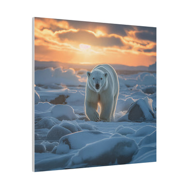 Polar Bear Wall Art | Square Matte Canvas