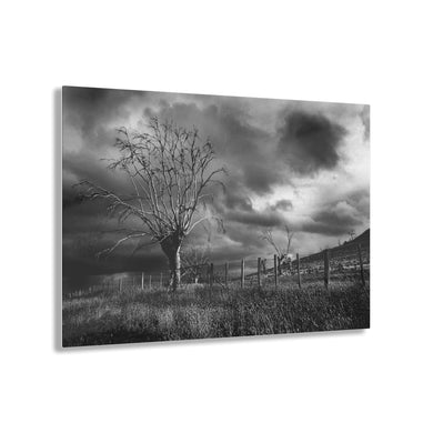 Country Fence Black & White Acrylic Prints