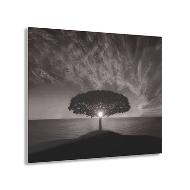 Beautiful Sunset Black & White Acrylic Prints