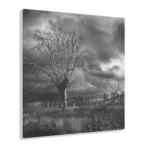 Country Fence Black & White Acrylic Prints