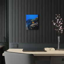 Load image into Gallery viewer, Coral Reef Acrylic Prints