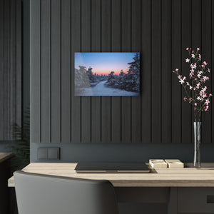 Snowy Forest In Acrylic Prints