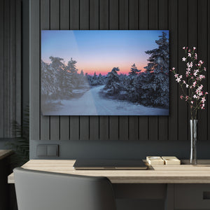 Snowy Forest In Acrylic Prints