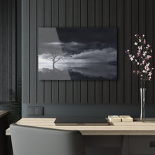 Load image into Gallery viewer, Lonely Tree Black &amp; White Acrylic Prints