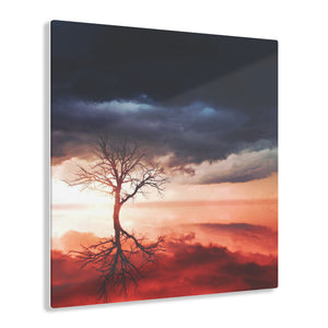 Lonely Tree Acrylic Prints