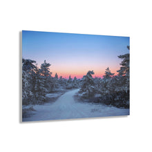 Load image into Gallery viewer, Snowy Forest In Acrylic Prints