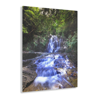 A Forest Brook Acrylic Prints