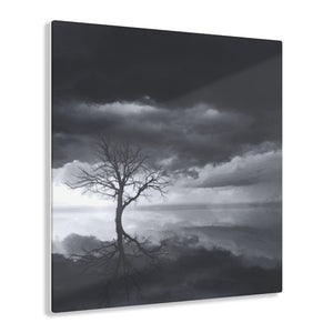 Lonely Tree Black & White Acrylic Prints