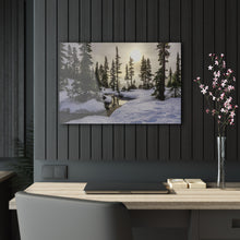 Load image into Gallery viewer, Winter in the Forest Acrylic Prints