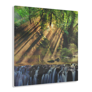 Forest Sunshine Acrylic Prints