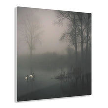 Load image into Gallery viewer, Swan Lake Acrylic Prints