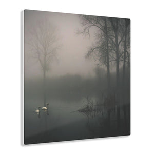 Swan Lake Acrylic Prints