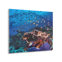 Load image into Gallery viewer, Colorful Reef Acrylic Prints