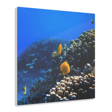 Load image into Gallery viewer, Coral Reef Acrylic Prints
