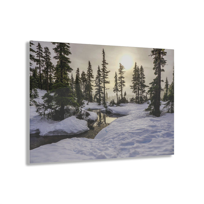 Winter in the Forest Acrylic Prints