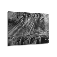 Load image into Gallery viewer, Forest Sunshine Black &amp; White Acrylic Prints