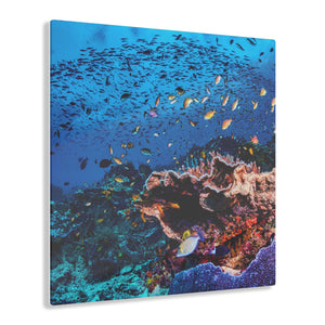 Colorful Reef Acrylic Prints