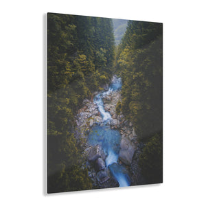 Waterfall in the Forest Acrylic Prints