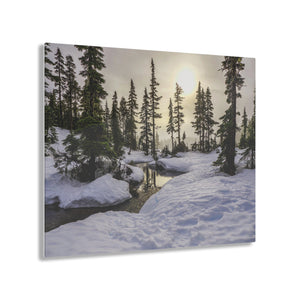 Winter in the Forest Acrylic Prints