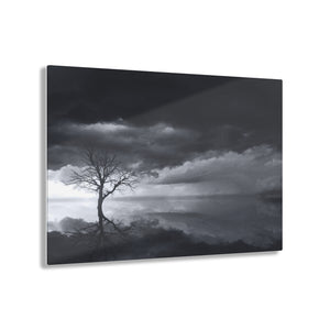Lonely Tree Black & White Acrylic Prints