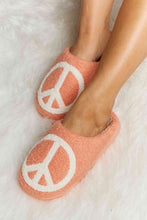 Load image into Gallery viewer, Melody Printed Plush Slide Slippers